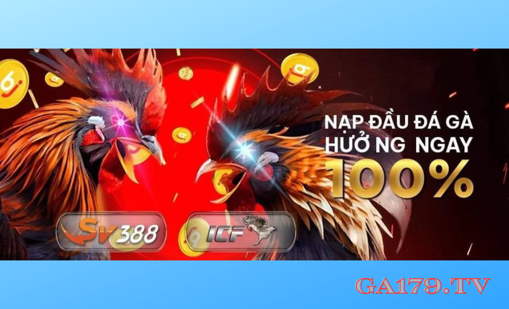 Trang Chủ Đá Gà BJ38 BJ388 - Nơi Tận Hưởng Trải Nghiệm Đá Gà Đỉnh Cao